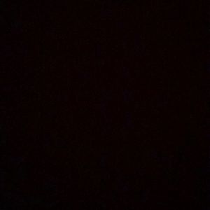 Meet your Posher, Steve